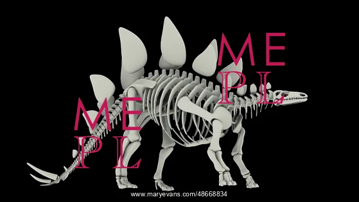 : Skeletal system of Stegosaurus, side view : Skeletal system of Stegosaurus, side view