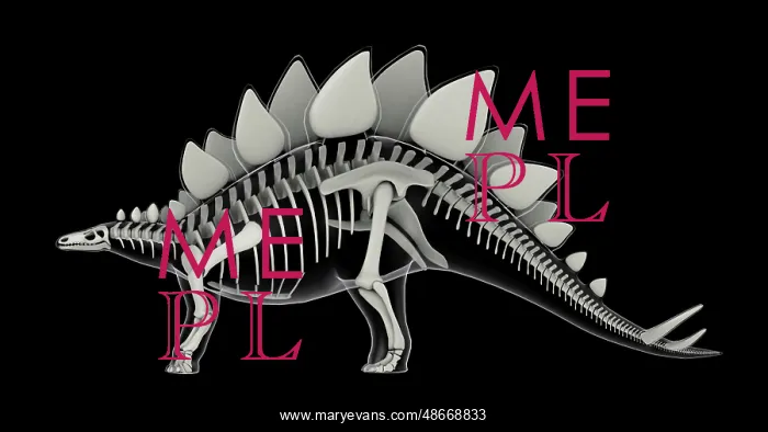 : Skeletal system of Stegosaurus, x-ray side view : Skeletal system of Stegosaurus, x-ray side view