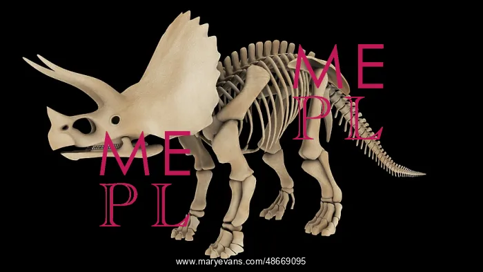 : Skeletal system of a Triceratops dinosaur, side view : Skeletal system of a Triceratops dinosaur, side view