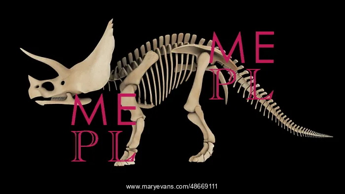 : Skeletal system of a Triceratops dinosaur, side view : Skeletal system of a Triceratops dinosaur, side view