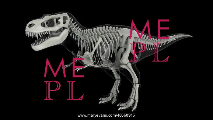 : Skeletal system of Tyrannosaurus rex, side view : Skeletal system of Tyrannosaurus rex, side view
