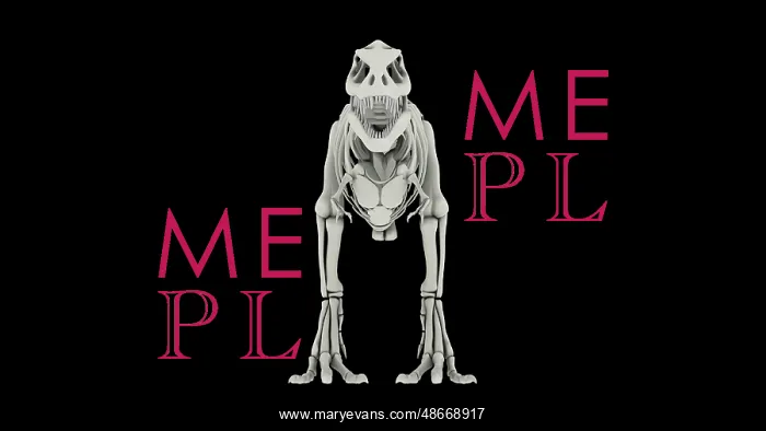 : Skeletal system of Tyrannosaurus rex, front view : Skeletal system of Tyrannosaurus rex, front view