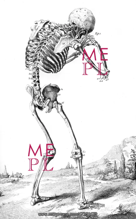 : SKELETON FROM BEHIND : SKELETON FROM BEHIND