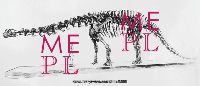 : Skeleton of a brontosaurus and human skeleton : Skeleton of a brontosaurus and human skeleton