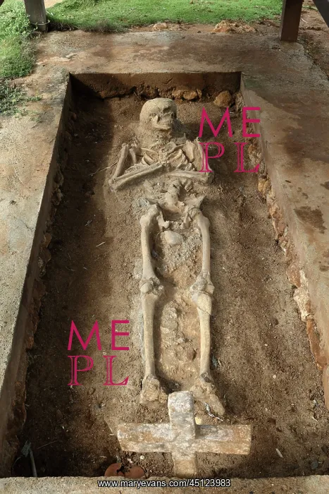 : Skeleton, Christian cemetery, La Isabela, Dominican : Skeleton, Christian cemetery, La Isabela, Dominican