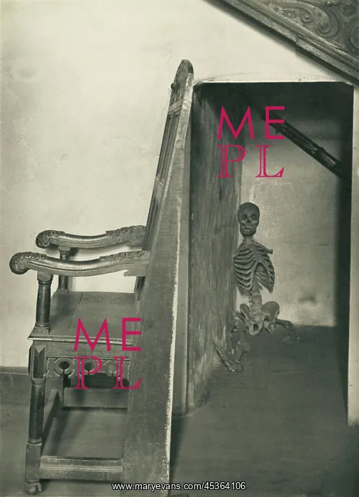 : Skeleton in the closet : Skeleton in the closet