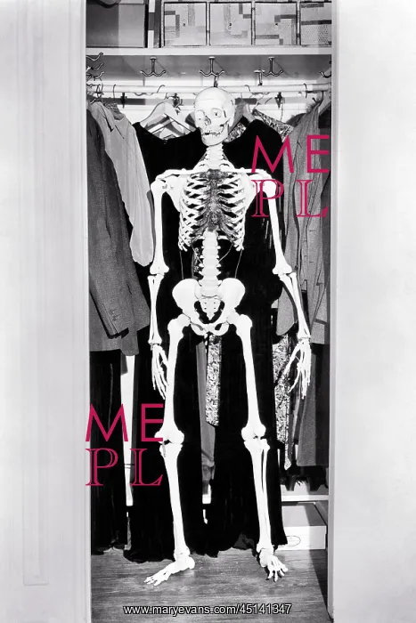 : A Skeleton in the Closet Family : A Skeleton in the Closet Family