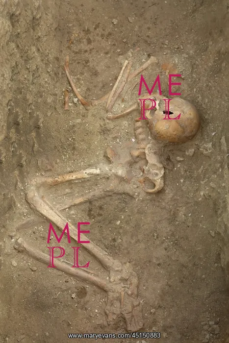 : Skeleton, Dilmun tomb, Janabiyah, Bahrain : Skeleton, Dilmun tomb, Janabiyah, Bahrain