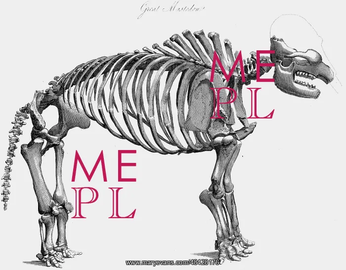 : Skeleton of Giant Mastodon excavated by Wilson : Skeleton of Giant Mastodon excavated by Wilson