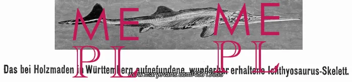 : Skeleton of an ichthyosaur, 1910 : Skeleton of an ichthyosaur, 1910