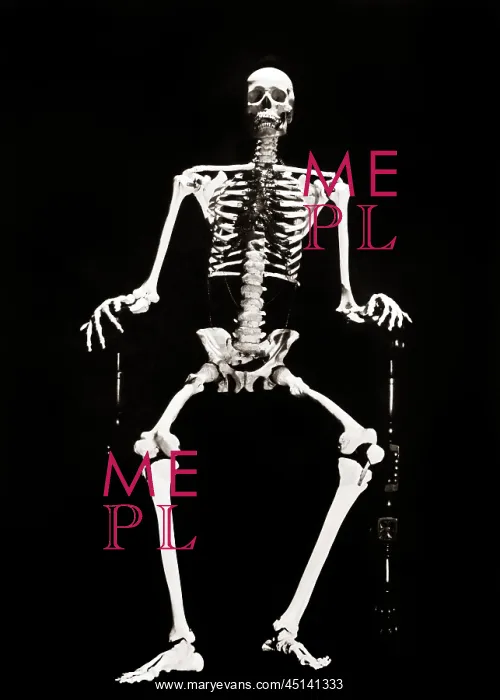 : Skeleton Looking at Camera Sitting : Skeleton Looking at Camera Sitting