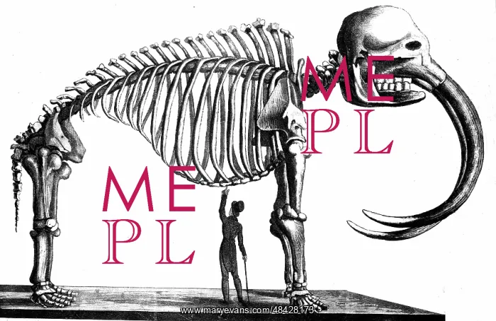  : Skeleton of Mammoth discovered in 1817 by Dr Mitchell