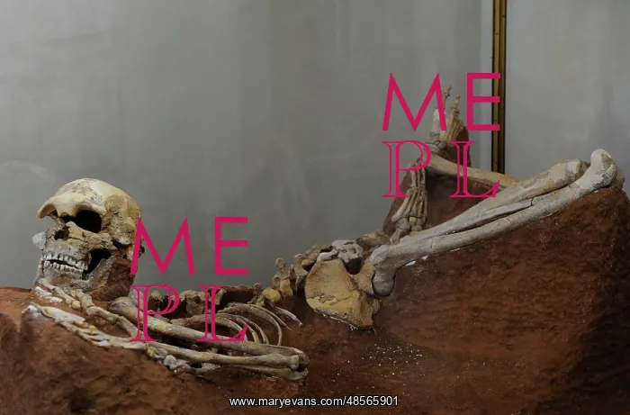 : Skeleton of Man. Skhull Cave (Me'arat Hagedi). Middle Paleol : Skeleton of Man. Skhull Cave (Me'arat Hagedi). Middle Paleol