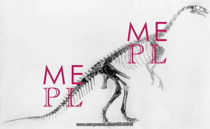 : Skeleton of a Plateosaurus, 1932 : Skeleton of a Plateosaurus, 1932