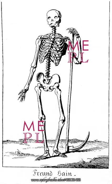 : Skeleton with Scythe : Skeleton with Scythe