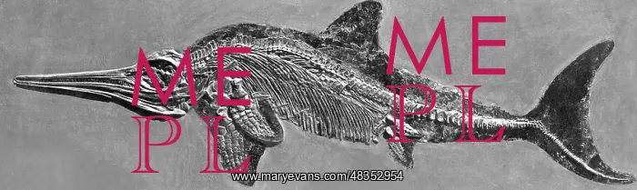 : Skeleton with skin imprint of an ichthyosaur, 1937 : Skeleton with skin imprint of an ichthyosaur, 1937