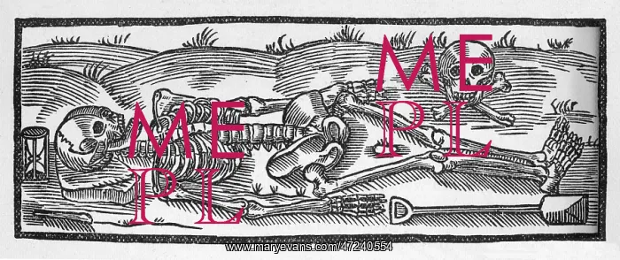 : SKELETON AND SKULL : SKELETON AND SKULL