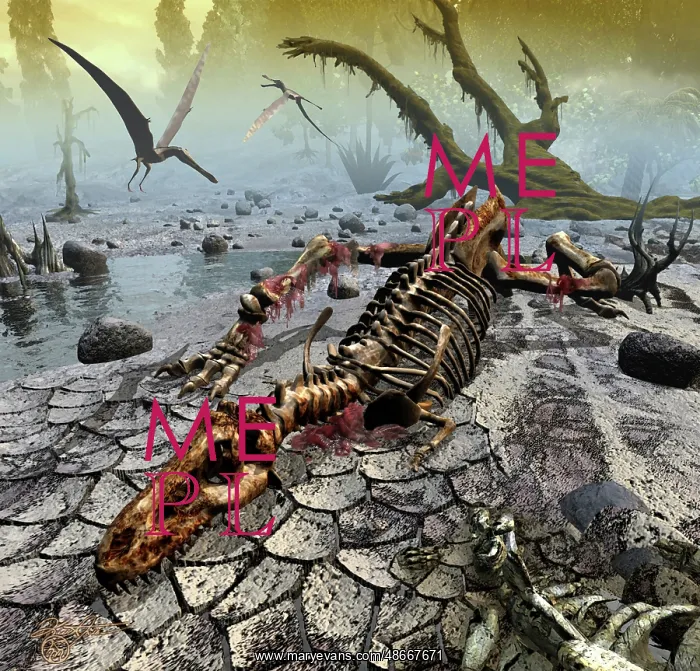 : Skeleton of a Tyrannosaurus rex : Skeleton of a Tyrannosaurus rex