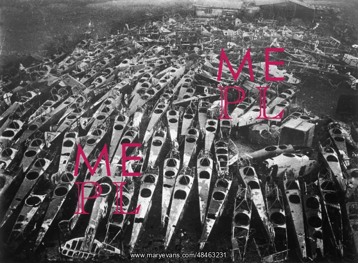 : SKELETONS OF WAR PLANES : SKELETONS OF WAR PLANES