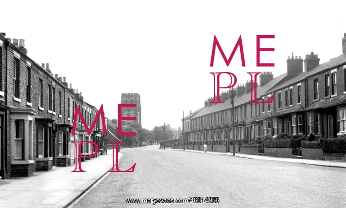  : Skelton, High Street c1955