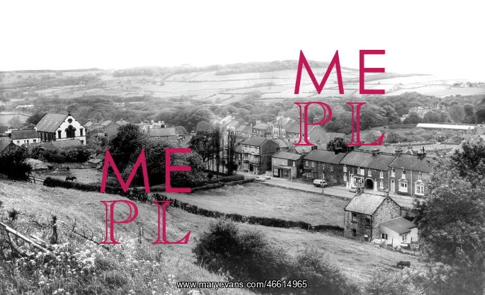  : Skelton, the Village c1955