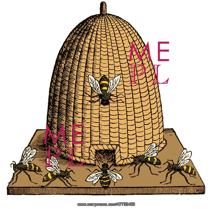 : Skep Beehive, 17th Century : Skep Beehive, 17th Century