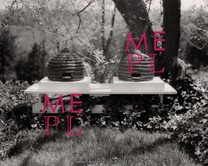 : Two Skeps Traditional Beehives of Inverted Baskets : Two Skeps Traditional Beehives of Inverted Baskets