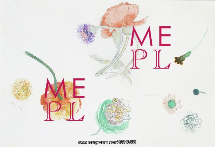  : Sketch of flowers