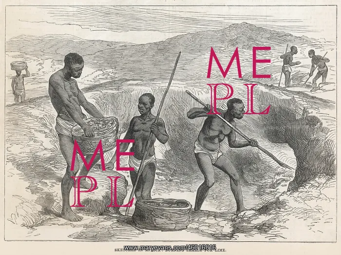 : Sketches in Africa - Burning Shells for Lime : Sketches in Africa - Burning Shells for Lime
