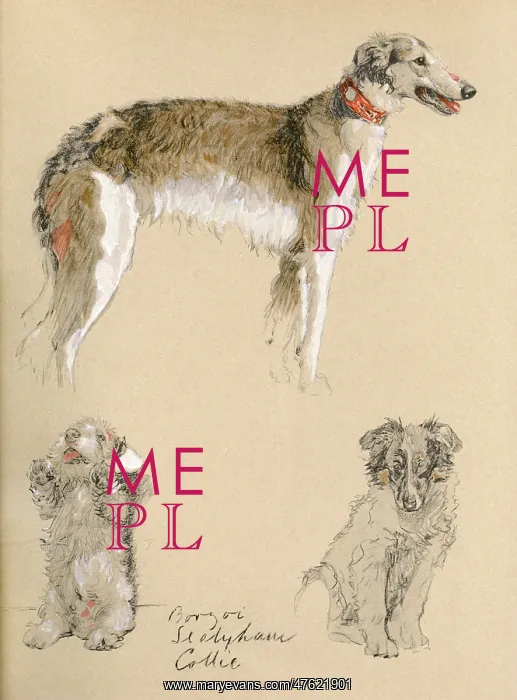 : Sketches by Cecil Aldin, Just Among Friends : Sketches by Cecil Aldin, Just Among Friends