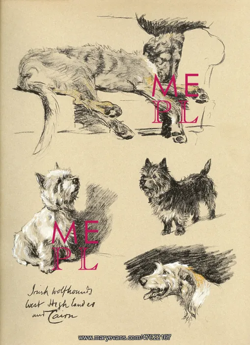 : Sketches by Cecil Aldin, Just Among Friends : Sketches by Cecil Aldin, Just Among Friends