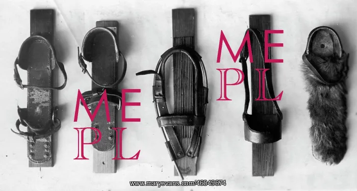: Ski bindings : Ski bindings