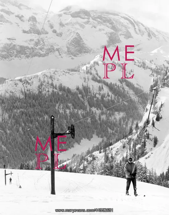  : SKI PULLEY