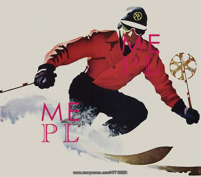  : Skier Crouching