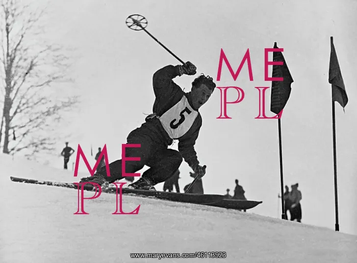  : Skier novel Worndle
