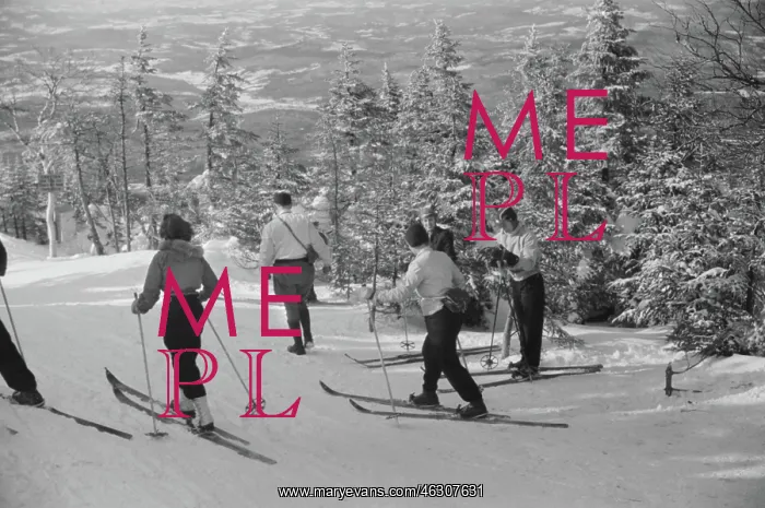 : Skiers - Skiing - Mountain - Winter - Snow : Skiers - Skiing - Mountain - Winter - Snow