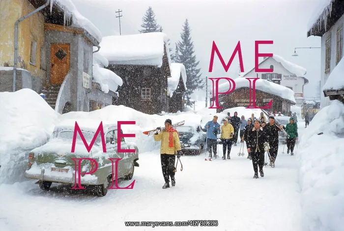 : skiers - snow - winter - Austria : skiers - snow - winter - Austria