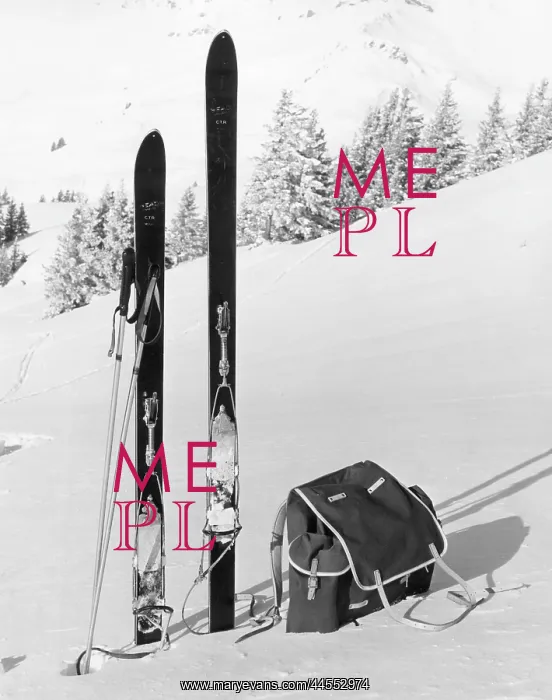  : SKIING EQUIPMENT