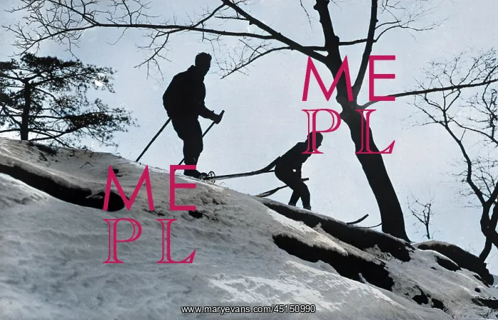 : SKIING SILHOUETTE : SKIING SILHOUETTE