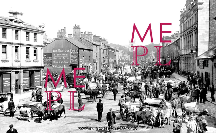  : Skipton, High Street 1900