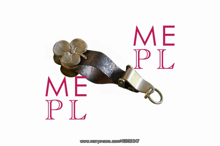  : Skirt Lifter