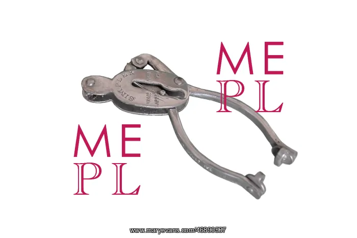  : Skirtlifter Simpler