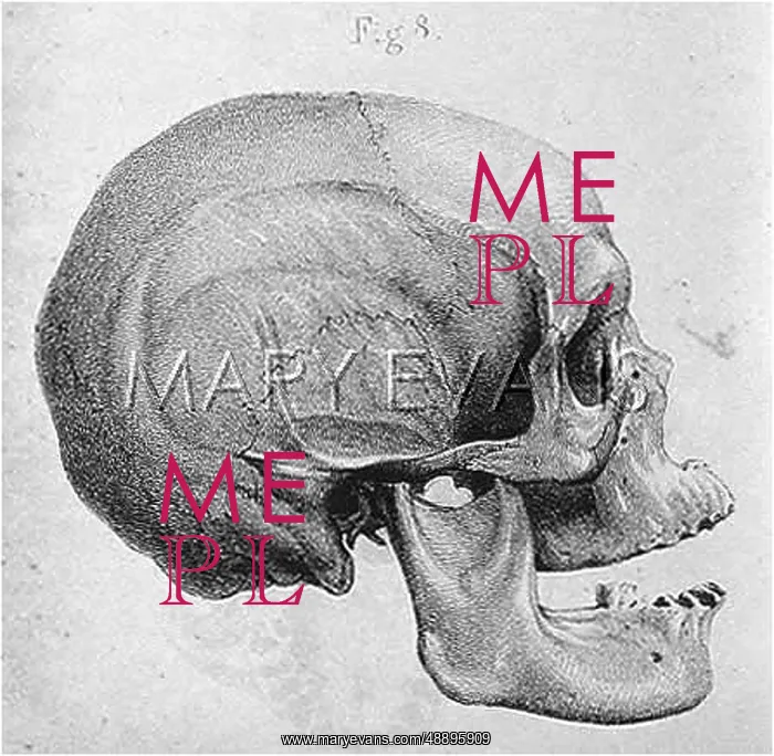 : SKULL: ALFOUROU ENDAMENE : SKULL: ALFOUROU ENDAMENE