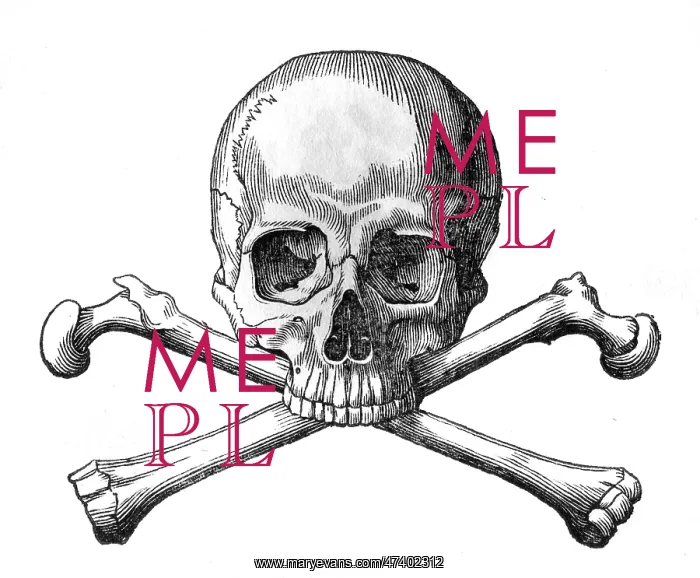 : SKULL AND CROSSBONES : SKULL AND CROSSBONES
