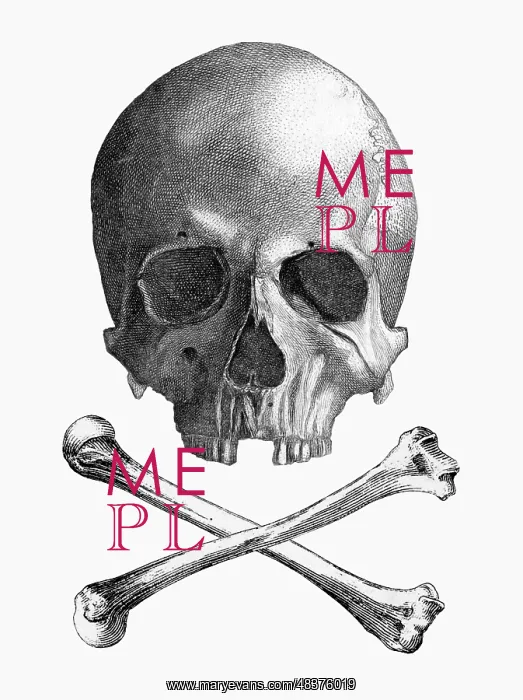 : Skull and Crossbones : Skull and Crossbones