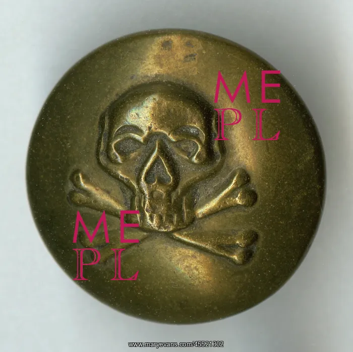 : Skull and crossbones military button : Skull and crossbones military button