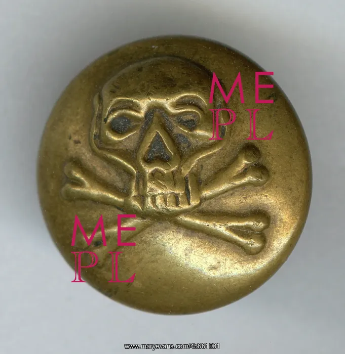: Skull and crossbones military button : Skull and crossbones military button
