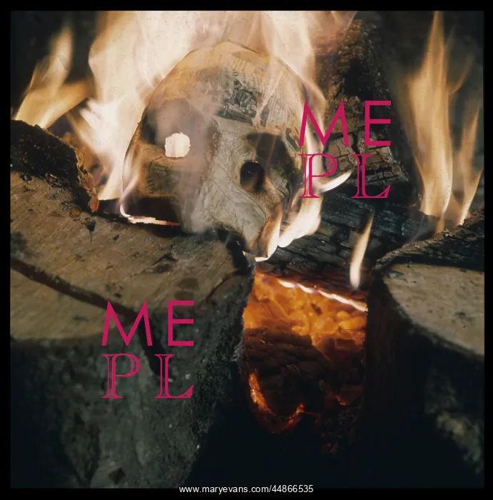 : SKULL AND FLAMES : SKULL AND FLAMES