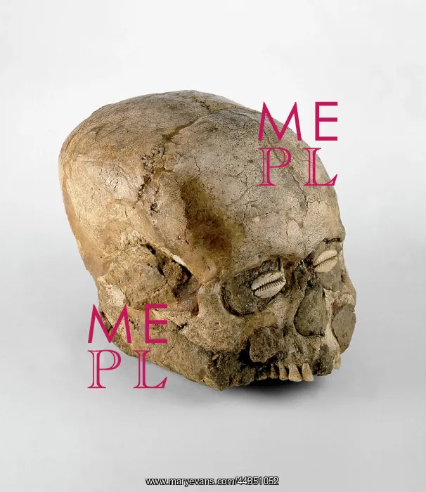 : Skull (Jericho Skull) : Skull (Jericho Skull)
