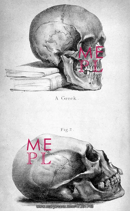 : SKULLS / 1841 : SKULLS / 1841